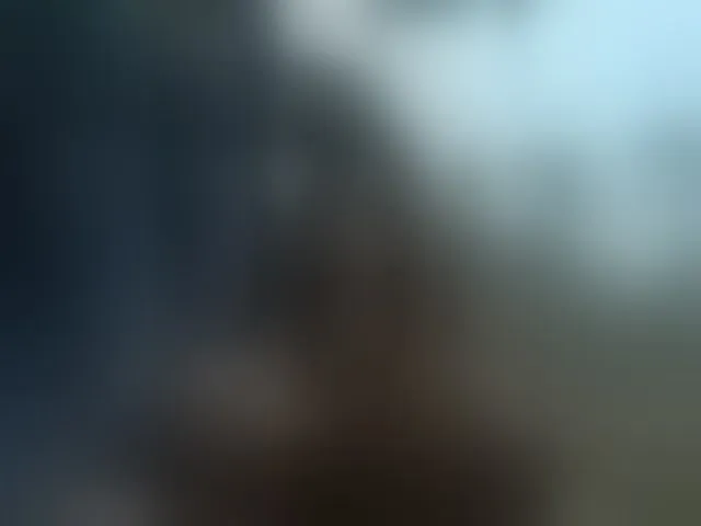 Live sex webcam photo for ROOMEXOTIC11 #293428650