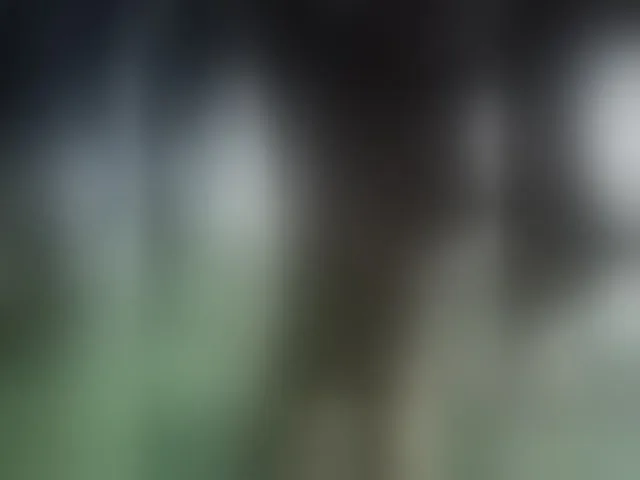 Live sex webcam photo for ROOMEXOTIC11 #293488655
