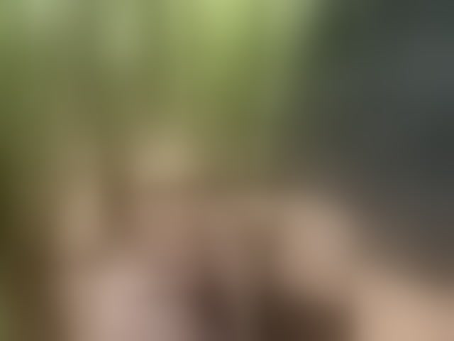 Live sex webcam photo for RUS577643 #293706604