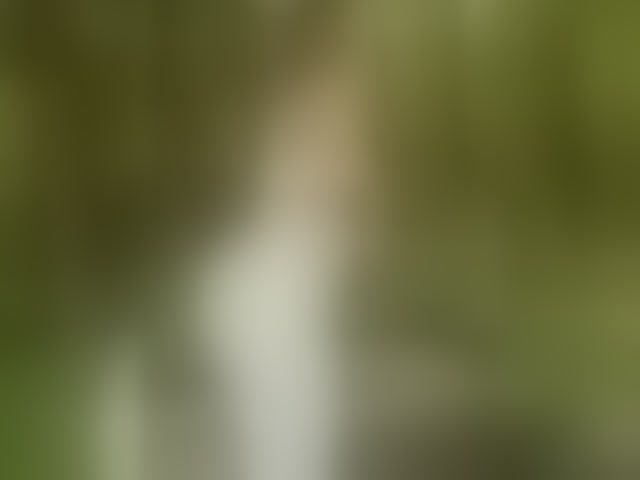 Live sex webcam photo for RUS577643 #293722700