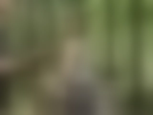 Live sex webcam photo for RUS577643 #293866687