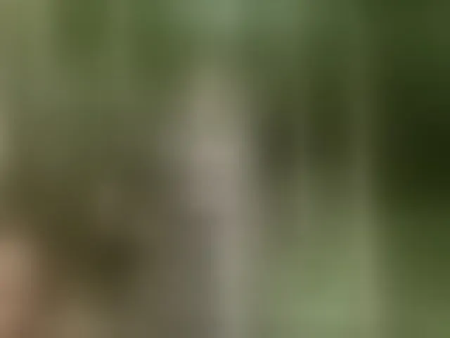 Live sex webcam photo for RUS577643 #293950758