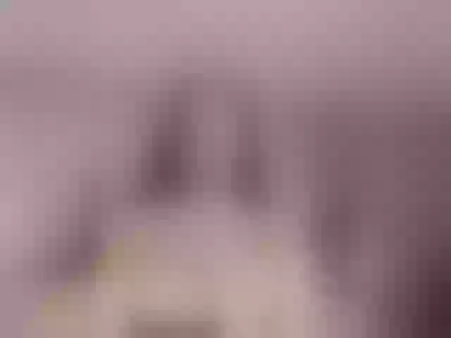 Live sex webcam photo for RachelCooper #291317718