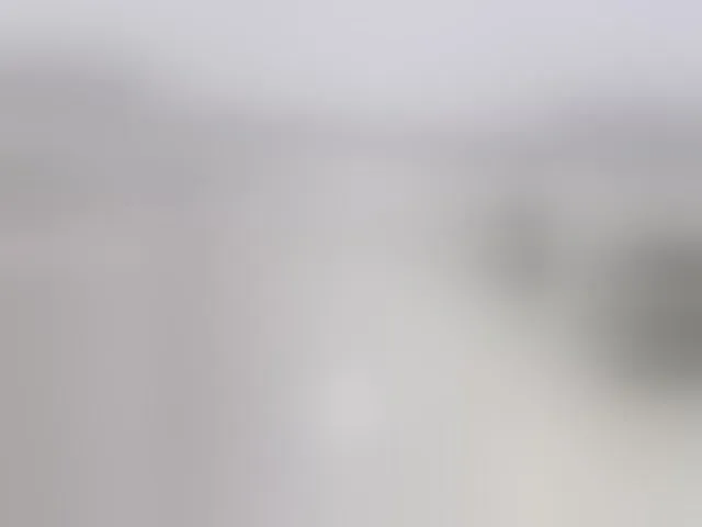Live sex webcam photo for RachelCooper #292403602