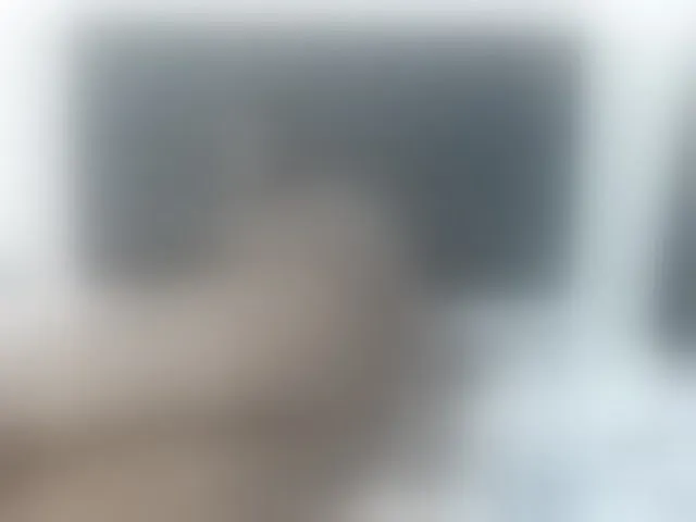 Live sex webcam photo for RachelHall #282809078