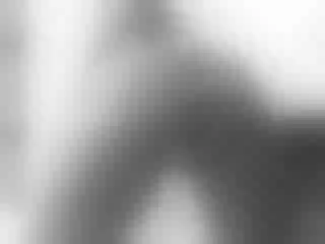 Live sex webcam photo for RachelHall #288824006