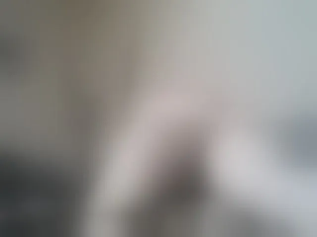 Live sex webcam photo for RachelORose #272323180