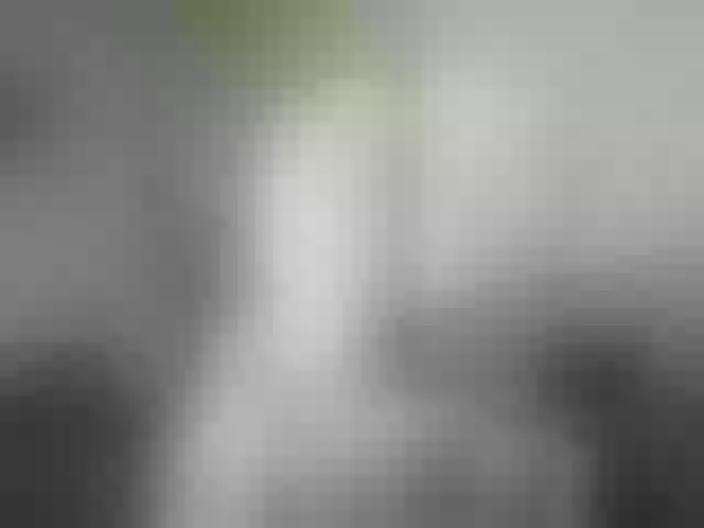 Live sex webcam photo for RachelORose #273091503