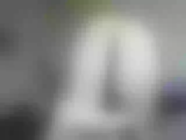 Live sex webcam photo for RachelORose #273116369