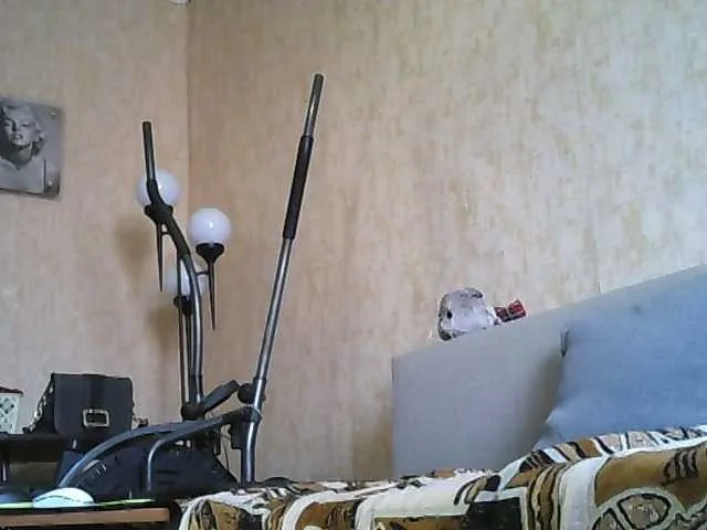 Live sex webcam photo for RachelORose #273150009