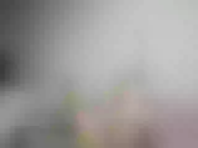 Live sex webcam photo for RachelORose #290280412