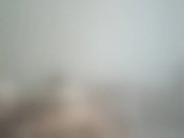 Live sex webcam photo for RachelORose #290548419