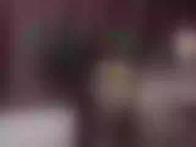 Live sex webcam photo for RachelRave #291929209