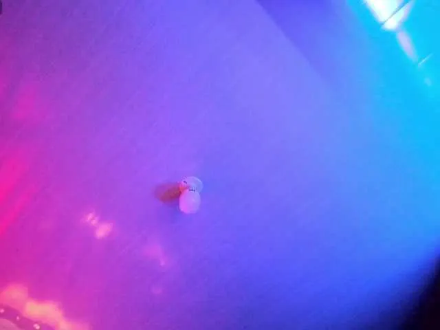 Live sex webcam photo for Rangar-n-Greiz #278083296