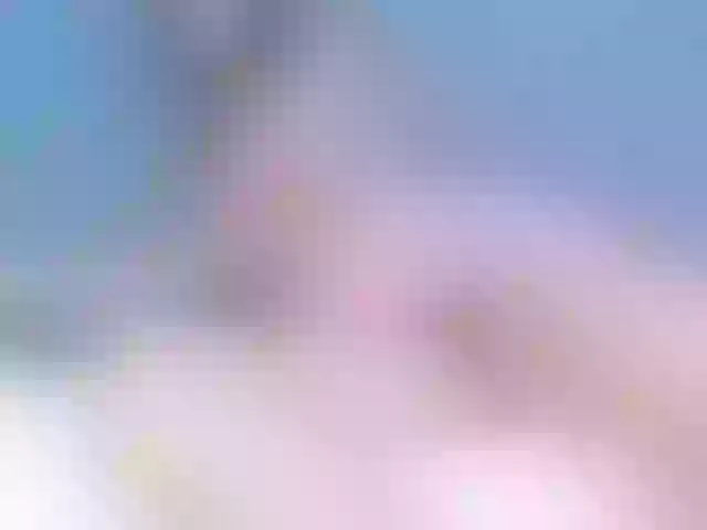 Live sex webcam photo for RebecaMitchel #272564432