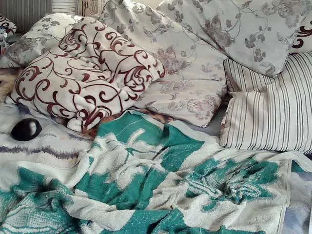 Live sex webcam photo for Red7-62 #291726240