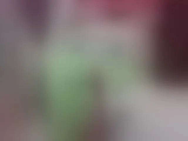 Live sex webcam photo for RedFox9595 #291979402
