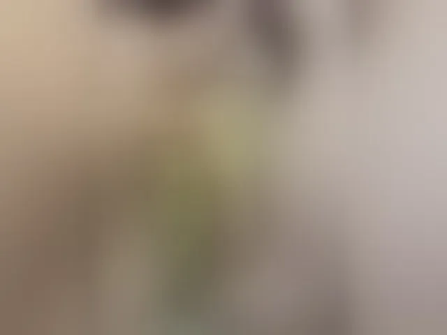 Live sex webcam photo for RedFox9595 #292320372
