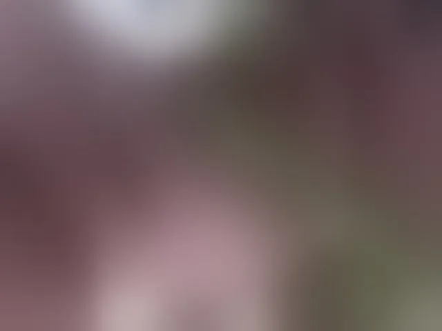 Live sex webcam photo for RedFox9595 #292407407