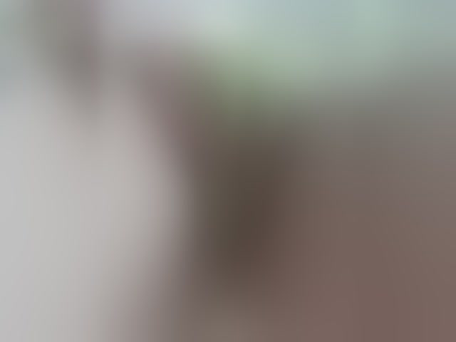 Live sex webcam photo for RedFox9595 #292573663