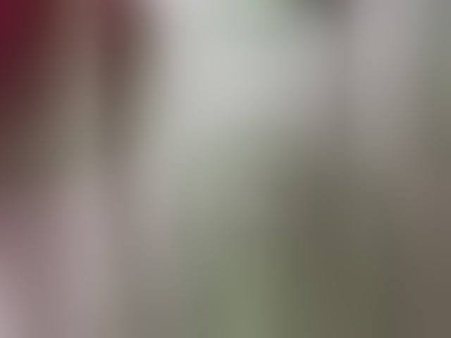 Live sex webcam photo for RedFox9595 #292580288
