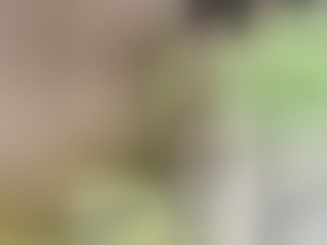 Live sex webcam photo for RedFox9595 #292594936