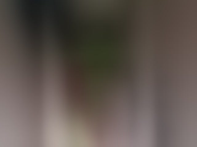 Live sex webcam photo for RedFox9595 #293011279