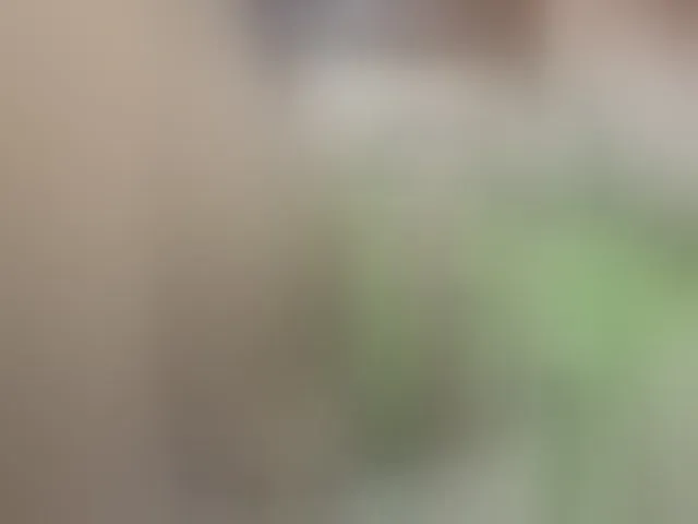 Live sex webcam photo for RedFox9595 #293049550