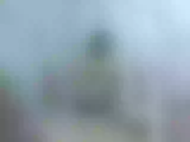 Live sex webcam photo for RedFoxTori #273462525