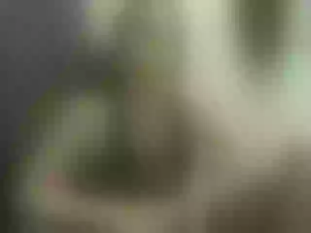 Live sex webcam photo for RedHeadSusy #291927847