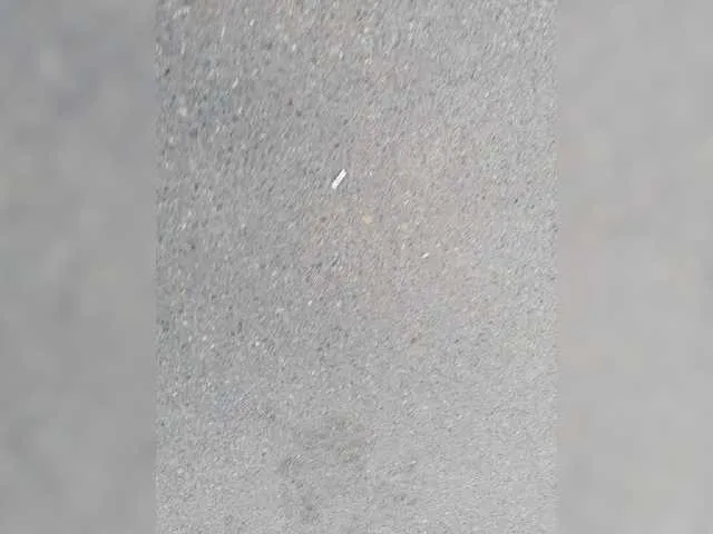 Live sex webcam photo for Redfox777 #273571587