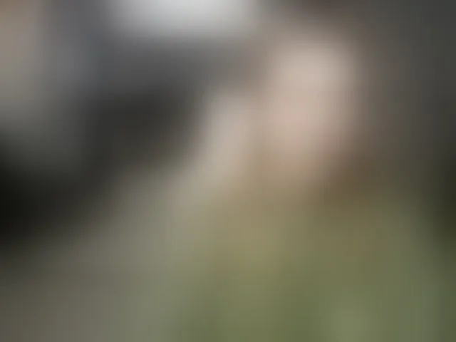 Live sex webcam photo for Regimasmile #293461748