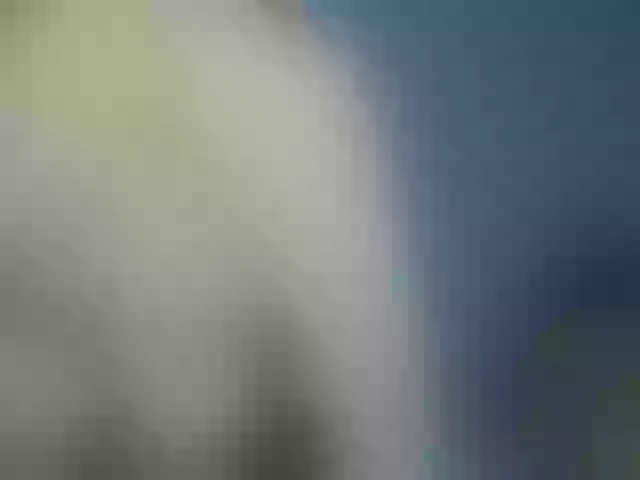 Live sex webcam photo for ReginaShine #277181620