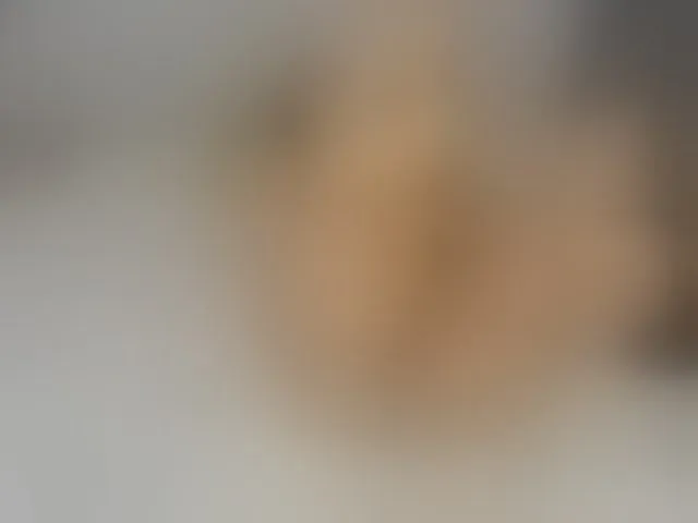 Live sex webcam photo for ReginaShine #277564253