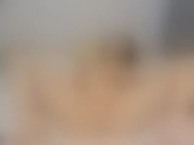 Live sex webcam photo for ReginaShine #277819594
