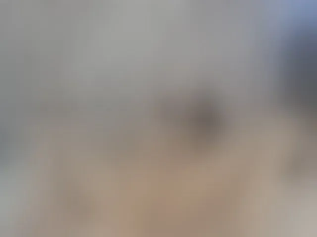 Live sex webcam photo for ReginaShine #290656884