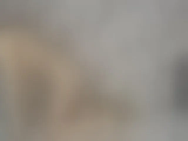 Live sex webcam photo for ReginaShine #290719268