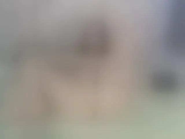 Live sex webcam photo for ReginaShine #290734160
