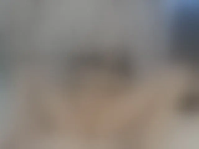 Live sex webcam photo for ReginaShine #290823033