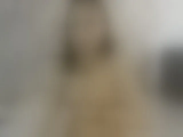Live sex webcam photo for ReginaShine #291439581