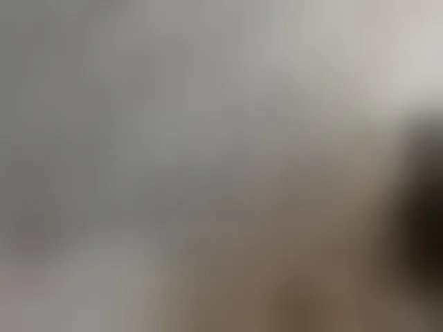 Live sex webcam photo for ReginaShine #291583085