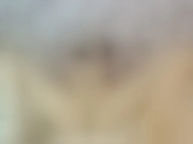 Live sex webcam photo for ReginaShine #292423314