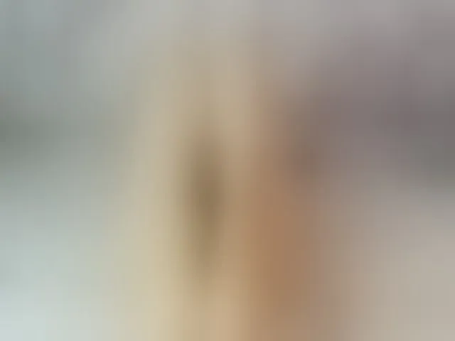 Live sex webcam photo for ReginaShine #292429758