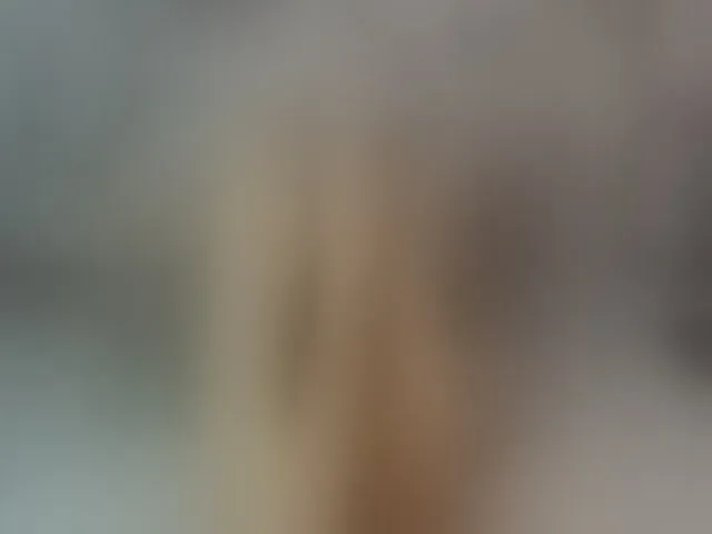Live sex webcam photo for ReginaShine #292477264