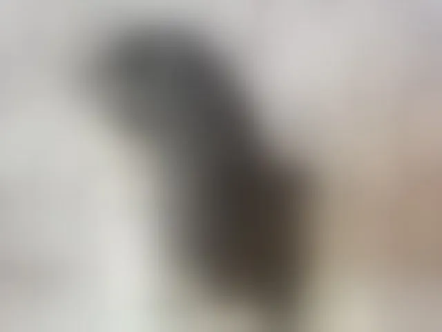 Live sex webcam photo for ReginaShine #292496245