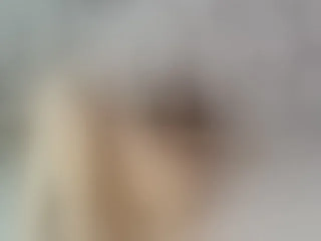 Live sex webcam photo for ReginaShine #292590989