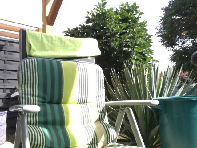 Live sex webcam photo for Reife-dame #276304527