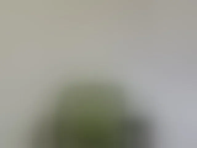 Live sex webcam photo for Reife-dame #293658773