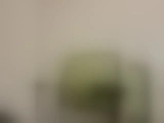 Live sex webcam photo for Reife-dame #293676381