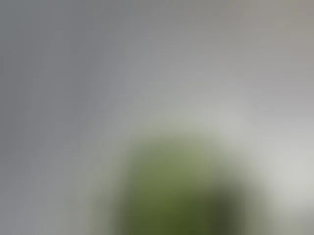 Live sex webcam photo for Reife-dame #293702355